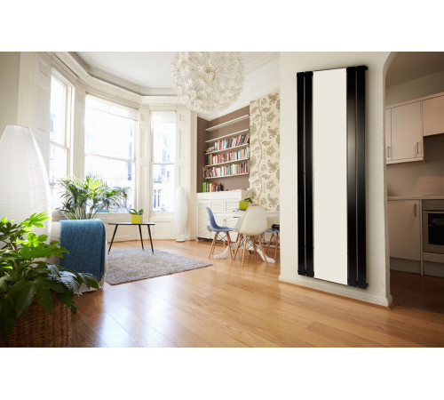 Дизайнерский радиатор Betatherm Mirror 1 H-1800 мм, L-609 мм, с зеркалом, нижнее подключение Дизайнерский радиатор Betatherm Mirror 1 H-1800 мм, L-609 мм, с зеркалом, нижнее подключение